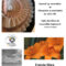 affiche-expo-photo-web